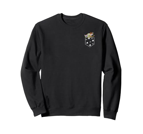 Sweatshirt Toy Story anti-bouloche pour un look Disney durable