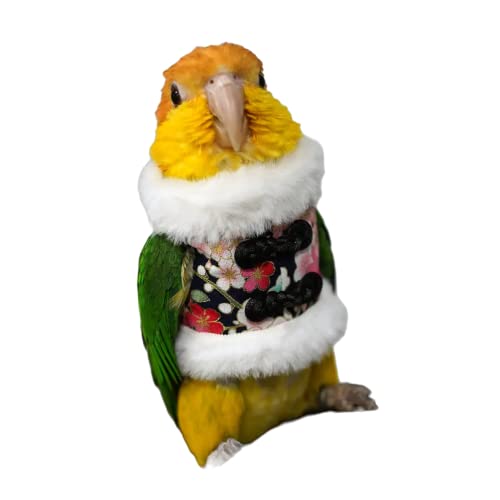 Image of Bird Costume Bird Flight Suit Bird Clothes Cosplay Photo Prop for Parrots Parakeet Cockatiel Sun Conure, Bird Hoodie Small Animals Apparel (Black, Large)