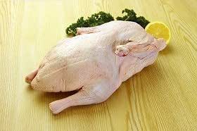 バンコクランチ) ハラル認証 合鴨グリラー 1.8kg