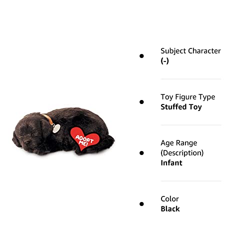 Perfect Petzzz - Original Petzzz Black Lab, Realistic, Lifelike Stuffed Interactive Pet Toy, Companion Pet Dog With 100% Handcrafted Synthetic Fur #TOP7