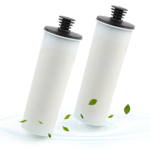 Juego de 2 filtros Cartuchos descalcificadores para Karcher SC3, Kit de Accesorios parciales para Limpiador a Vapor (Blanco)