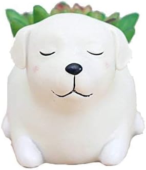 Labrador Dog Succulent Planter Pots for Office House Balcony Landscape Creative Decorative Flower Pots (Labrador Dog) image 3