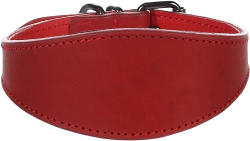 Halsband Denver Whippet ROT S/M 26-32CM 50MM