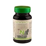 NEKTON