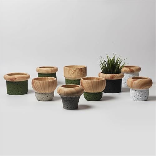 Petit pot de fleur décoratif original en ciment pour succulentes - 4