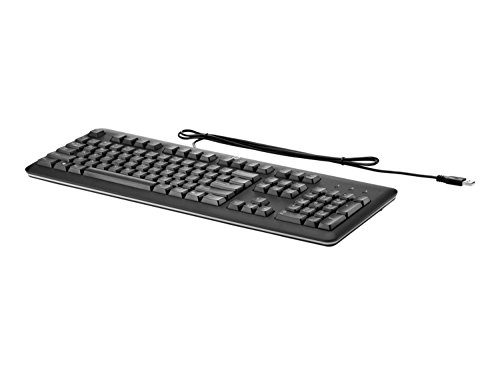Preisvergleich Produktbild HP QY776AA USB Standard Keyboard Tastatur