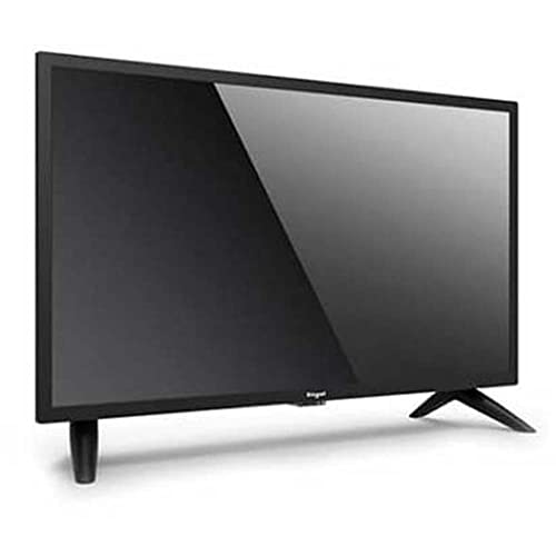 Engel TV, LE2462, televisión de 24' especial para camping, con adaptador de coche 12-24Vdc, resolución 1366 x 768 px, conexiones USB, HDMI, VGA y auriculares