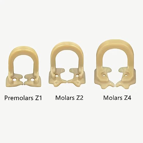 Rwbatt RD-09 Dental Rubber Dam Clamps Resin Rubber Barrier Clip Dental Endodental Rubber Dam Holder Autoclavable Dental Dentist Tools thumb #2