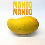 mango lausanne job  Mango Mango