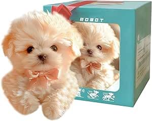 y2025NVfzq^ybg{bg ̌IȂ̎q AȌ{bg   RpjI T[N LOiEvC^Cp ()A