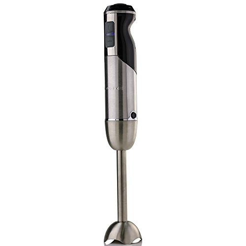 Ovente Powerful Immersion Hand Blender 500 Watts with Stainless Steel Blades, Detachable Shaft