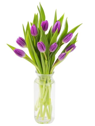 Image of KaBloom-10 Purple Tulip Bouquet,Flowers for Valentine, Mother's Day