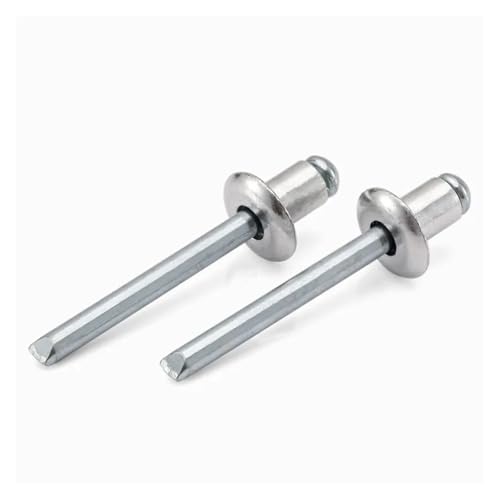 M2.4 .8 M3.2 |bvxbg I[vuChh[wbh ی^wbh A~vX^bh lingli(100pcs,M2.4 x 8mm)