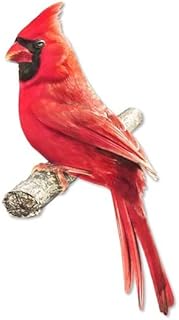 Craig Bachman 12" Metal Embossed Cardinal on Branch Wall Door Hanger Metal Sign