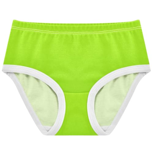 Joisal Flower Toddlers Underwear Floral 2t Cotton Cute Panties Girl Lemon Green Fruit Gradient Kids Undies Briefs - Main Image