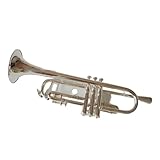 Trompeta Trompeta Sib Llave Dorada Plateada Instrumento Profesional Con Estuche(Silver)