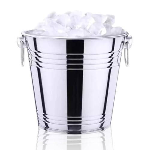Secchiello Per Il Ghiaccio in Acciaio Inossidabile, Vasca Per Bevande in Metallo Refrigeratore Per Birra da Vino Secchiello Per Il Ghiaccio Secchiello Per Il Ghiaccio Portatile a Doppio Anello Per Vin