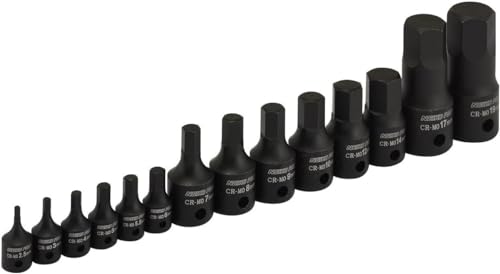 NEIKO 01141B Conjunto de soquetes Allen-Bit 01141B, conjunto de soquetes métricos, 2,5 mm a 19 mm, 1