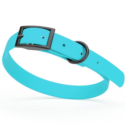 Image of Dogline Biothane Waterproof Dog Collar Strong Coated Nylon Webbing with Black Hardware Odor- Proof for Easy Care Easy to Clean High Performance Fits Small Medium or Large Dogs, Sky Blue