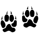 Wildcat Paw Prints - Paquete de 4 pegatinas de vinilo impermeable para coche, laptop, pared, ventana, parachoques