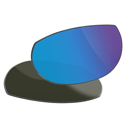 Verres polarisés de rechange pour Smith Toaster parfaits pour le sport et la plage