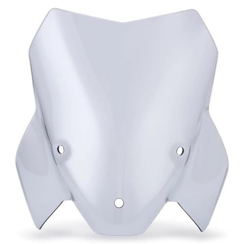 �I�[�g�o�C�̃t�����g�K���X �t�����g�K���X ���߂� S 1000 R 2021 2022 2023 S1000 / S1000R �p �E�C���h�X�N���[���t����(Light Smoke)