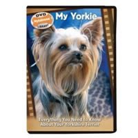 Misc. TFH My Yorkie DVD Book