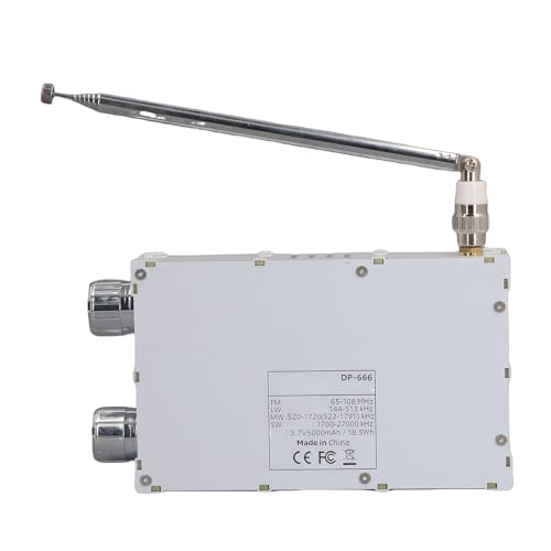 Radio portátil de banda completa Eujgoov DP-666 blanco miniatura 5