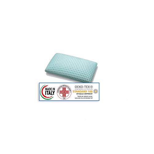 Oreiller en mousse à mémoire de forme avec l'Aloe Vera, 73 x 42 x 15 cm Cover