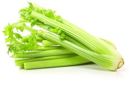 Willvine Organic Green Celery Vegetable-VK-9F-image-9