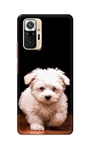 Image of PRINTFIDAA� Printed Hard Back Cover Case for Mi Redmi Note 10 Pro | Mi Redmi Note 10 Pro Max Back Cover (Puppy Dog) -2808