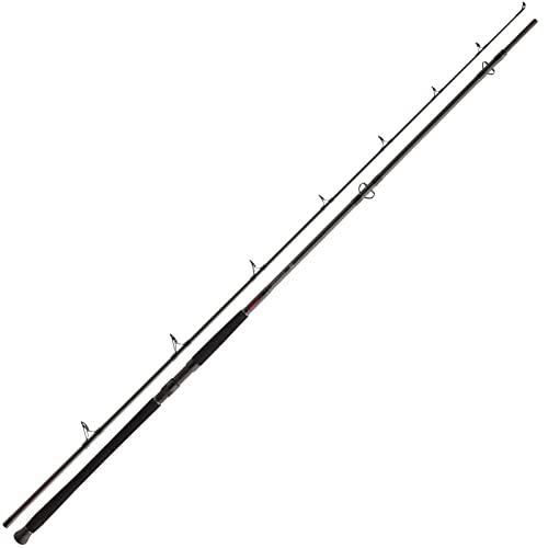 Canne Daiwa Exceler FC Catfish – 3,00m 200-600g – Canne Silure Bouée – Carbone 2 Brins