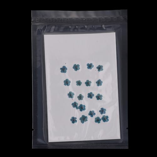 Flores prensadas secas azules para manualidades 60 pcs miniatura 4