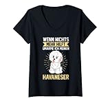 Photo Gallery donna proprietario di cani havaneser maglietta con collo a v Photo Gallery donna proprietario di cani havaneser maglietta con collo a v