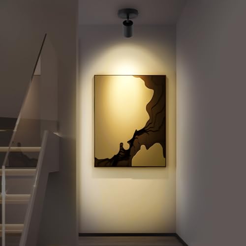 Image of Black Surface Mounted LED Ceiling Spotlight Directional Spot Lights Indoor Bright Can Accent Fixture for Living Room Bedroom - CRI92 Flicker Free 7W 560LM 3000K Warm White (Driver includ)