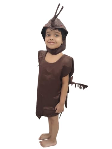 Image of BookMyCostume Cockroach Home Animal Insect Kids Fancy Dress Costume 2-3 years