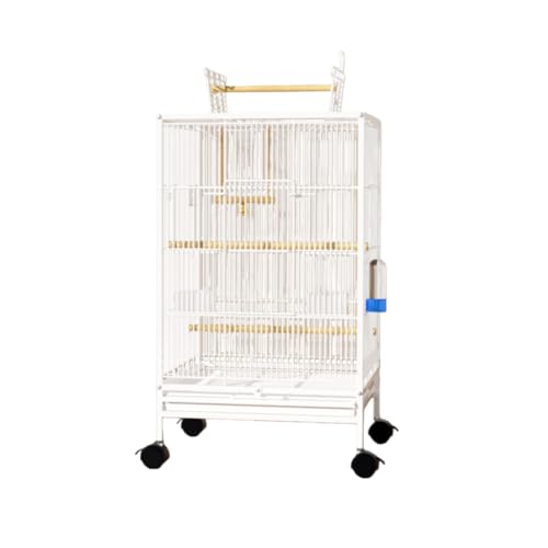 Tyoksi AƒpIEP[WAP[WAXy[XߖAYf|A@\JA^[^gCA~ߐ݌vAo₷AZLZCCRAIJCRAW (2,P[WZbg)