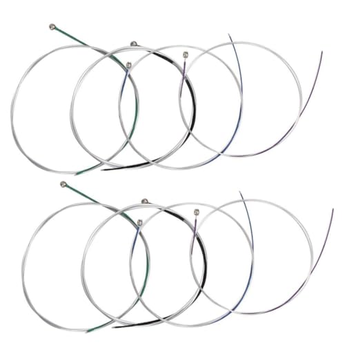 DECORNIJIA 8 oCIt  jo[TyANZT[ NVbNt oCIp FLŒa̎ꂽTE