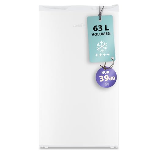 Stolthoff® Gefrierschrank klein 63L, Mini Gefrierschrank, 4 Sterne Tiefkühlschrank bis -18 °C, leise 39 dB, Türanschlag wechselbar, freistehend, für Küche/Büro/Keller/Camping, Weiß