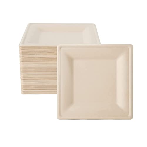 TRADENCT Lot de 50 assiettes carrées compostables jetables et biodégradables en bagasse - Assiettes résistantes au micro-ondes - Pour activités de barbecue à dessert (15,2 cm)