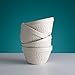 Mason Cash In the Forest S36 (0.95 Qt) Pudding Basin | Cream