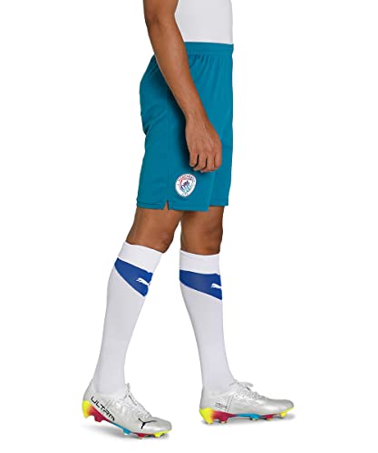 Image of PUMA Men Shorts