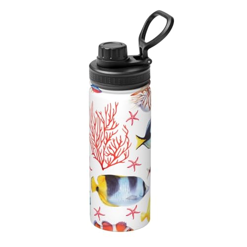 C̋̃p^[  X|[c{g ^fMP[^C}O 500ml XeX  L[nht ^ѕ֗ RpNg ۉۗ