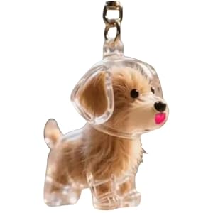 Dog & Cat Memorial Keychain – Pet Hair Collector Keyring with Clear Transparent Storage Bottle for Fur Keepsake,Personalised Pet Loss Gift for Dog & Cat Lovers,Memory Box Jewelry Alternative