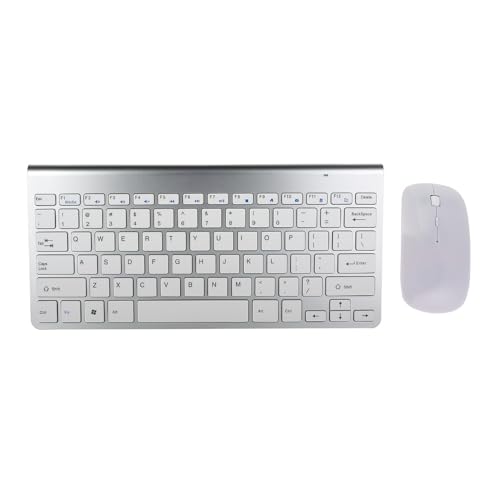 2025N ̒^~jL[{[h}EXZbgfCXL[{[hÉAyʉAϋv (Vo[)