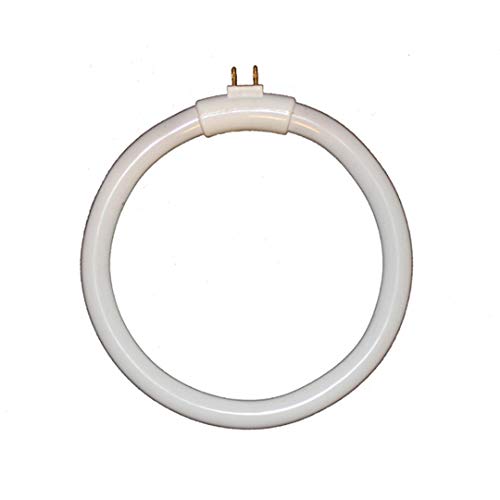 Ampoule G10Q 12W Tube Circulaire/Lumière du Jour