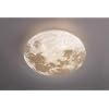 Lampade da soffitto e Plafoniere in blu Westwing