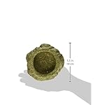 Kaytee premium timothy hay chew-a-bowl for rabbits, guinea pigs, and chinchillas 8 31uz64jzjjl. Sl500. Ss150