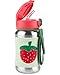 Skip Hop Toddler Sippy Cup with Straw, Sparks Stainless Steel Straw Bottle, Strawberry