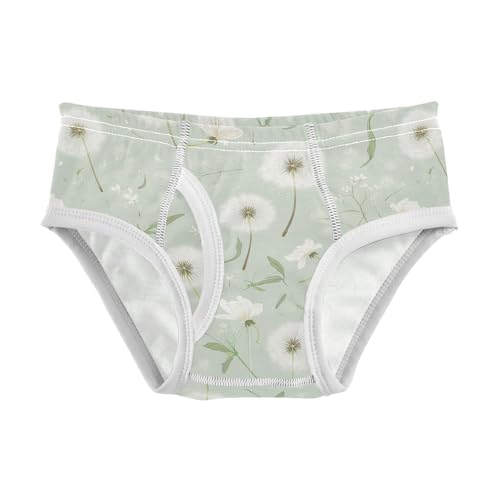visesunny Boys Potty Training Underwear Spring Summer Dandelion Pattern Breathe Cotton Briefs Size 2T-8Y for Toddler